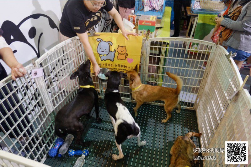 台湾展览设计、台湾展位设计搭建、台湾展台制作